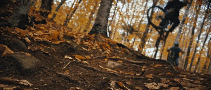 DEVINCI | SpartanAL