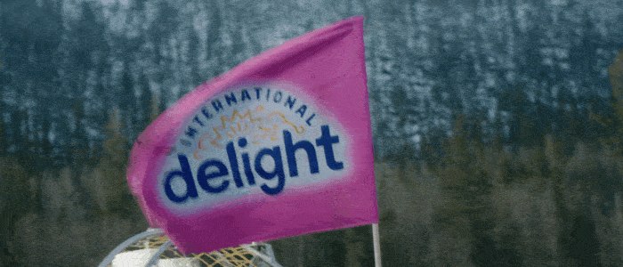 International Delight | 40 years anniversary